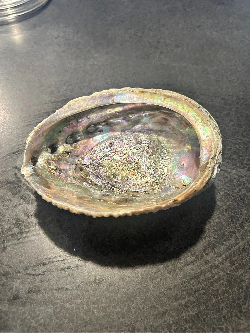 Iridescent Abalone Shell Decor